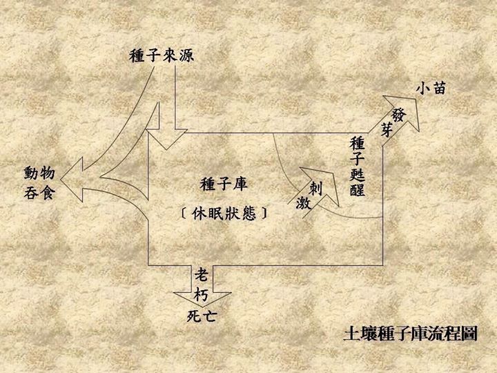 台北其實很生態8