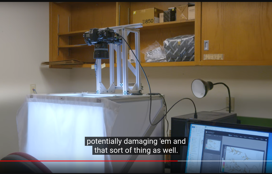 okla-imaging.png