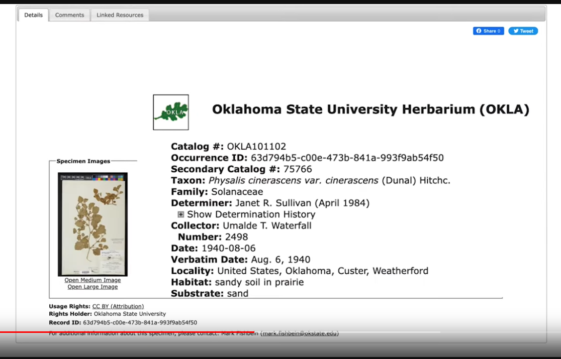 okla-symbiota-specimen.png