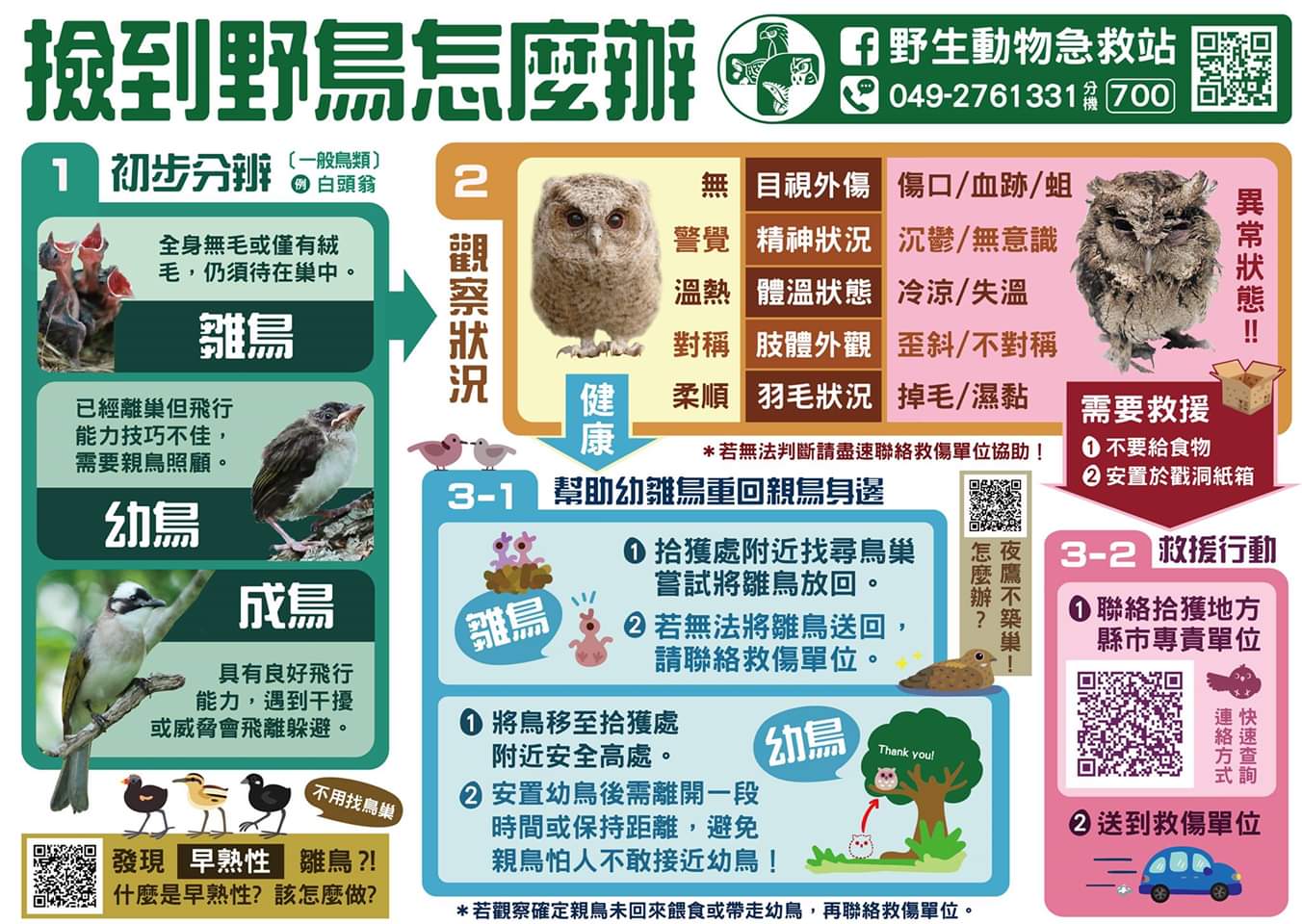 撿到野鳥怎麼辦